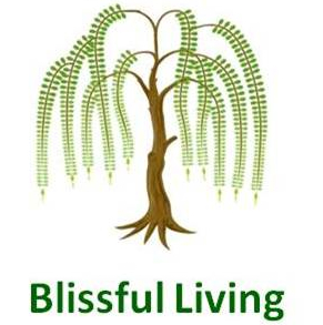 Marketing Plan for Blissful Living By Bare Bones Marketing