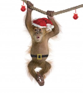 Cropped Christmas Monkey