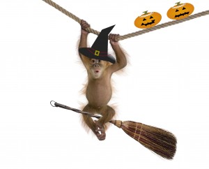 Halloween Monkey Final