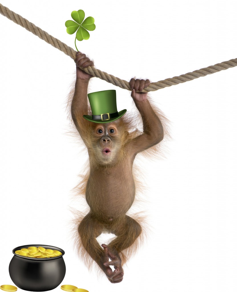 St. Patrick's Day Monkey